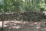 pontdugard 20220605 135344