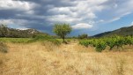 pontdugard 20220605 162557