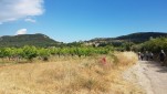pontdugard 20220605 151948