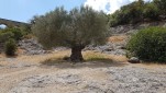 pontdugard 20220605 145848