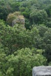 pontdugard 20220605 100443